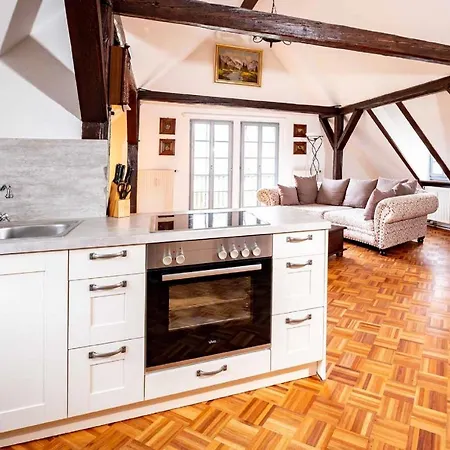 Geyer-schloss Reinsbronn דירה *